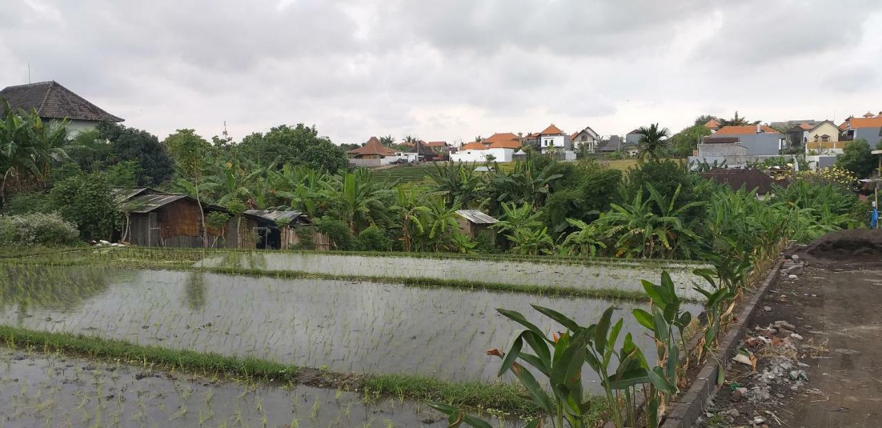 Pd Bali Guesthouse Canggu Dış mekan fotoğraf