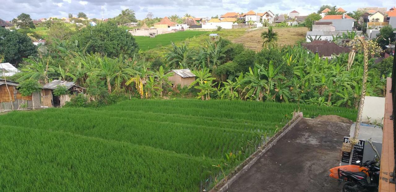 Pd Bali Guesthouse Canggu Dış mekan fotoğraf